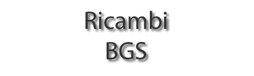 Ricambi BGS