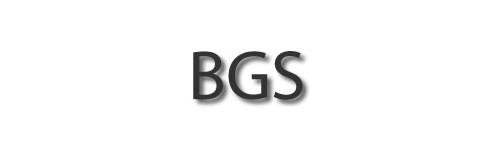 BGS Models